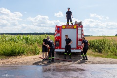 Plik-175