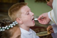 IMG_7781